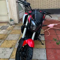 دومینار ۲۵۰ اسیب دیده