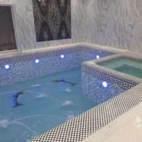 مجری استخر ، سونا ، جکوزی ، تاسیسات