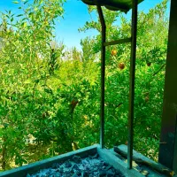 باغ برای ساخت ، نقد و اقساط|فروش زمین و ملک کلنگی|قم, سالاریه|دیوار