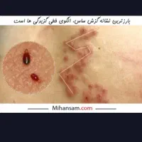 خدمات سمپاشی %100تضمینی تمام نقاط تهران