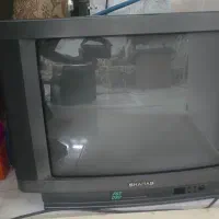 تلوزیون|تلویزیون و پروژکتور|کاشان, زیدی|دیوار