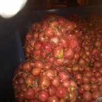 آبلیمو طبیعی ۱۸۵)آبغوره ۱۲۰)انارتوری واسه آبگیری|خوردنی و آشامیدنی|کوهدشت, |دیوار