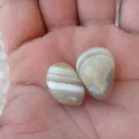 سلیمانی عطف