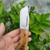 چاقو. یا کارد .