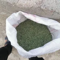 آویشن