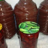 مارمالاد توت فرنگی تازه( ظرف ۳ کیلویی)