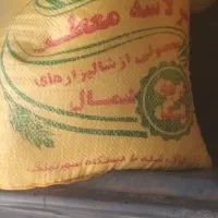 سرالاشه هاشمی معطر