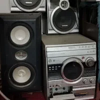 ظبط و باند سالم