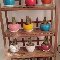 استند گل|گل و گیاه طبیعی|شازند, |دیوار