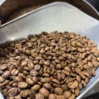 قهوه روبوستا و عربیکا