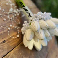 ماشین عروس و دسته گل عروس