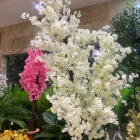 سرمایه نیاز برای واردات