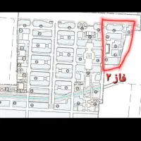 امتیاز گل نرگس