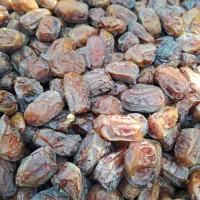 خرما کبکاب خشت اعلا ارگانیک|خوردنی و آشامیدنی|قم, باغ شریفی|دیوار