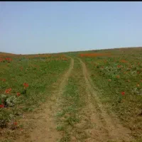 فروش-زمین-با-موقعیت-خوب-جاده-اصلی-ابارش-فرهاد4