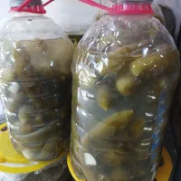 خیارشور خوشمزه خانگی