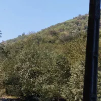 زمین کشاورزی ۸۶۰۰ متری|فروش دفتر صنعتی، کشاورزی، تجاری|اطاقور, |دیوار