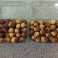 رطب|خوردنی و آشامیدنی|کیش, |دیوار