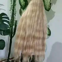 صادرات موی سر دختران گل