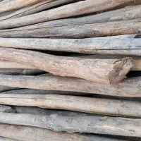 چوب سقفی|مصالح و تجهیزات ساختمان|میمند, |دیوار