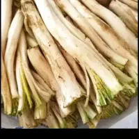 کنگر تازه وشیرین