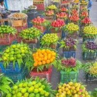تامین میوه و تره بار سرتاسر گیلان