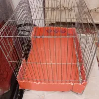 قفس پرنده