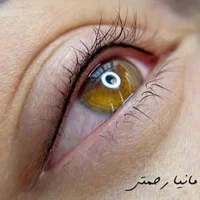 جشنواره اموزش و خدمات تخصصی میکروبلیدینگ ابرو|خدمات آرایشگری و زیبایی|قم, زنبیل آباد|دیوار