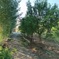 باغچه400متری-سنددار