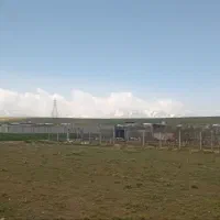 زمین باغی باغ در شورین۱۰۰۰متری فوری منطقه ساخت شده