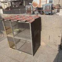 جفتکن دوعدد آهنی معاوضه باعروس هلندی