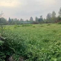 3600-متر-زمین-باغی-با-600-متر-مسکونی-رشت-سنگر