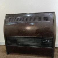 بخاری ادنیس