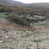 فروش زمین ییلاقی درروستای ارفعده پلسفید