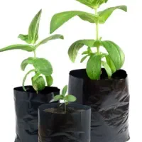 پلاستیک نهال