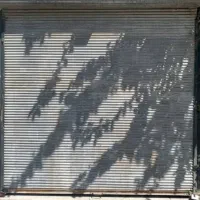 مغازه در خیابان هدایت(قائدی)