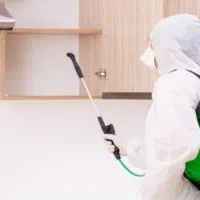 سم پاشی موریانه ، سوسک ، ساس، موش