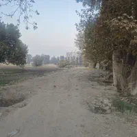 ۱۹۰۰۰ هزار متر زمین سنددار چهاردانگه گلشهر|فروش زمین و ملک کلنگی|چهاردانگه (تهران), |دیوار