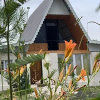 ویلا استخردار|اجارهٔ کوتاه‌مدت ویلا و باغ|تالش, هشتپر|دیوار