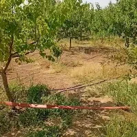 فروش خانه باغ وباغ|فروش خانه و ویلا|جلفا, |دیوار