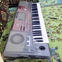 ارگPa700 درحداکبند شرکتی