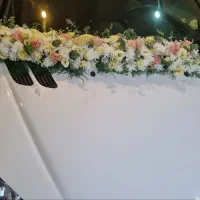 گل ارایی|خدمات پذیرایی، مراسم|اصفهان, کوی امیریه|دیوار