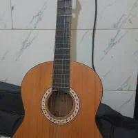 گیتار پارسی M2 با کاور