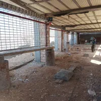 تیغه رول گیتر