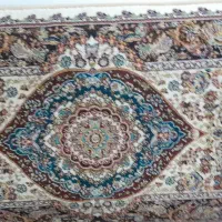 ۶عددپشتی نو