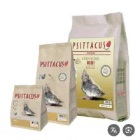 سرلاک سیتاکوس اصل