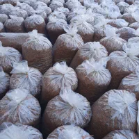 تفاله سیب درجه یک  بصورت نقد و چک