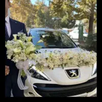 کرایه ۲۰۷پانا ماشین عروس