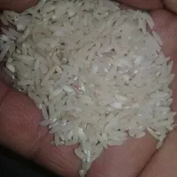 پنجا کیلو برنج درجه یک بخش ویسیان روستای شوراب