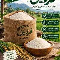 برنج هاشمی اعلا گیلان